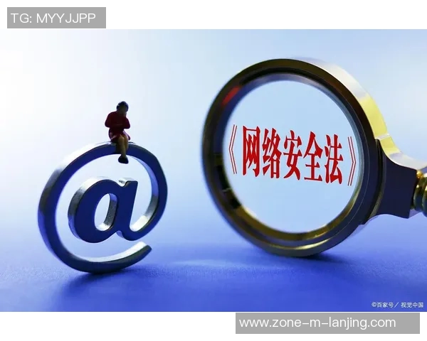 日本阿与网站举报的斗争背后揭示的网络安全新趋势